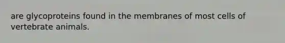 are glycoproteins found in the membranes of most cells of vertebrate animals.