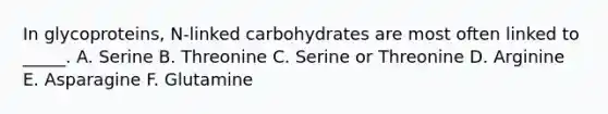 In glycoproteins, N-linked carbohydrates are most often linked to _____. A. Serine B. Threonine C. Serine or Threonine D. Arginine E. Asparagine F. Glutamine