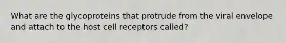 What are the glycoproteins that protrude from the viral envelope and attach to the host cell receptors called?