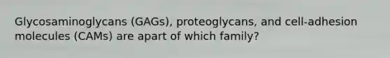 Glycosaminoglycans (GAGs), proteoglycans, and cell-adhesion molecules (CAMs) are apart of which family?