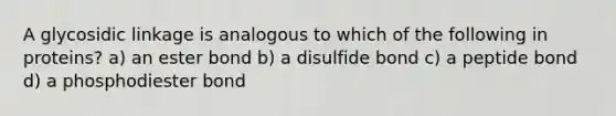 A glycosidic linkage is analogous to which of the following in proteins? a) an ester bond b) a disulfide bond c) a peptide bond d) a phosphodiester bond