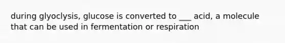 during glyoclysis, glucose is converted to ___ acid, a molecule that can be used in fermentation or respiration