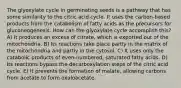 The glyoxylate cycle in germinating seeds is a pathway that has some similarity to the citric acid cycle. It uses the carbon-based products from the catabolism of fatty acids as the precursors for gluconeogenesis. How can the glyoxylate cycle accomplish this? A) It produces an excess of citrate, which is exported out of the mitochondria. B) Its reactions take place partly in the matrix of the mitochondria and partly in the cytosol. C) It uses only the catabolic products of even-numbered, saturated fatty acids. D) Its reactions bypass the decarboxylation steps of the citric acid cycle. E) It prevents the formation of malate, allowing carbons from acetate to form oxaloacetate.