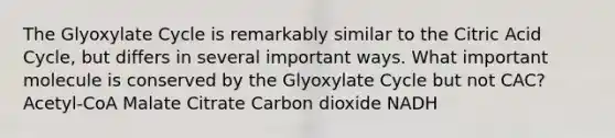 The Glyoxylate Cycle is remarkably similar to the Citric Acid Cycle, but differs in several important ways. What important molecule is conserved by the Glyoxylate Cycle but not CAC? Acetyl-CoA Malate Citrate Carbon dioxide NADH