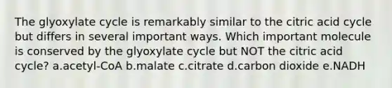 The glyoxylate cycle is remarkably similar to the citric acid cycle but differs in several important ways. Which important molecule is conserved by the glyoxylate cycle but NOT the citric acid cycle? a.acetyl-CoA b.malate c.citrate d.carbon dioxide e.NADH