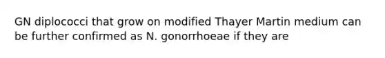 GN diplococci that grow on modified Thayer Martin medium can be further confirmed as N. gonorrhoeae if they are