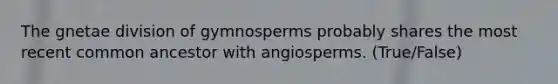 The gnetae division of gymnosperms probably shares the most recent common ancestor with angiosperms. (True/False)