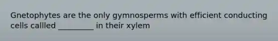 Gnetophytes are the only gymnosperms with efficient conducting cells callled _________ in their xylem