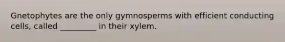 Gnetophytes are the only gymnosperms with efficient conducting cells, called _________ in their xylem.