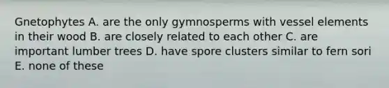 Gnetophytes A. are the only gymnosperms with vessel elements in their wood B. are closely related to each other C. are important lumber trees D. have spore clusters similar to fern sori E. none of these