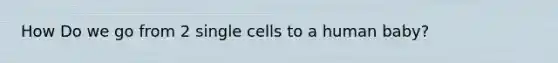 How Do we go from 2 single cells to a human baby?