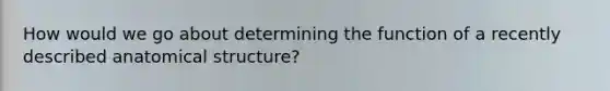 How would we go about determining the function of a recently described anatomical structure?