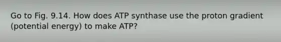 Go to Fig. 9.14. How does ATP synthase use the proton gradient (potential energy) to make ATP?