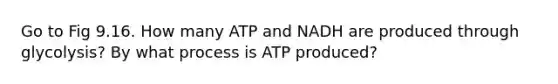 Go to Fig 9.16. How many ATP and NADH are produced through glycolysis? By what process is ATP produced?