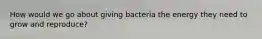 How would we go about giving bacteria the energy they need to grow and reproduce?