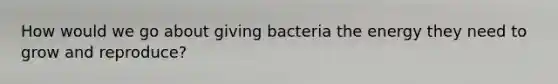 How would we go about giving bacteria the energy they need to grow and reproduce?