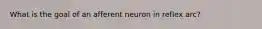 What is the goal of an afferent neuron in reflex arc?