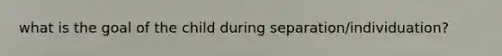 what is the goal of the child during separation/individuation?