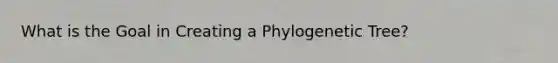 What is the Goal in Creating a Phylogenetic Tree?