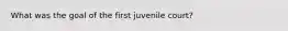 What was the goal of the first juvenile court?