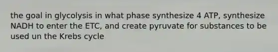 the goal in glycolysis in what phase synthesize 4 ATP, synthesize NADH to enter the ETC, and create pyruvate for substances to be used un the Krebs cycle