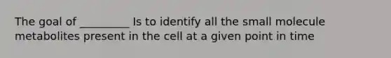 The goal of _________ Is to identify all the small molecule metabolites present in the cell at a given point in time