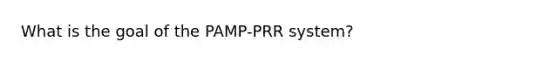 What is the goal of the PAMP-PRR system?