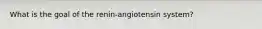 What is the goal of the renin-angiotensin system?