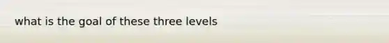 what is the goal of these three levels