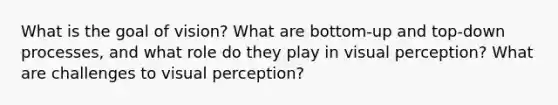 What is the goal of vision? What are bottom-up and top-down processes, and what role do they play in visual perception? What are challenges to visual perception?