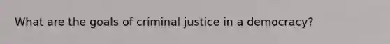 What are the goals of criminal justice in a democracy?