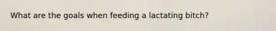 What are the goals when feeding a lactating bitch?