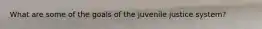 What are some of the goals of the juvenile justice system?