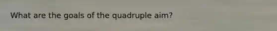 What are the goals of the quadruple aim?