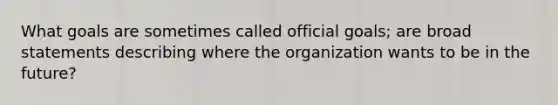 What goals are sometimes called official goals; are broad statements describing where the organization wants to be in the future?