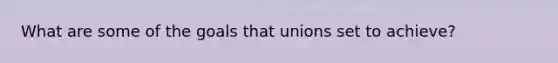 What are some of the goals that unions set to achieve?