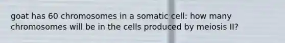 goat has 60 chromosomes in a somatic cell: how many chromosomes will be in the cells produced by meiosis II?