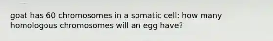 goat has 60 chromosomes in a somatic cell: how many homologous chromosomes will an egg have?