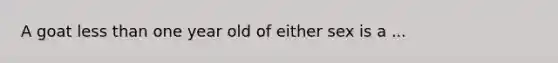 A goat <a href='https://www.questionai.com/knowledge/k7BtlYpAMX-less-than' class='anchor-knowledge'>less than</a> one year old of either sex is a ...