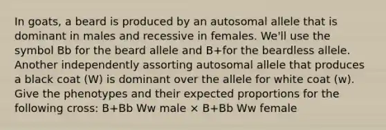 In goats, a beard is produced by an autosomal allele that is dominant in males and recessive in females. We'll use the symbol Bb for the beard allele and B+for the beardless allele. Another independently assorting autosomal allele that produces a black coat (W) is dominant over the allele for white coat (w). Give the phenotypes and their expected proportions for the following cross: B+Bb Ww male × B+Bb Ww female