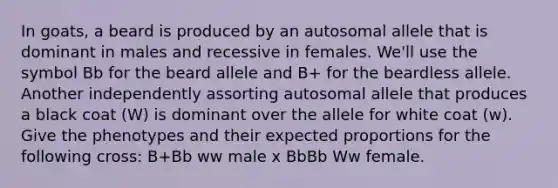 In goats, a beard is produced by an autosomal allele that is dominant in males and recessive in females. We'll use the symbol Bb for the beard allele and B+ for the beardless allele. Another independently assorting autosomal allele that produces a black coat (W) is dominant over the allele for white coat (w). Give the phenotypes and their expected proportions for the following cross: B+Bb ww male x BbBb Ww female.