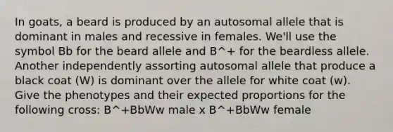 In goats, a beard is produced by an autosomal allele that is dominant in males and recessive in females. We'll use the symbol Bb for the beard allele and B^+ for the beardless allele. Another independently assorting autosomal allele that produce a black coat (W) is dominant over the allele for white coat (w). Give the phenotypes and their expected proportions for the following cross: B^+BbWw male x B^+BbWw female