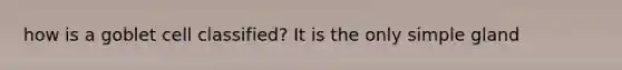 how is a goblet cell classified? It is the only simple gland