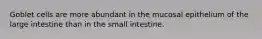 Goblet cells are more abundant in the mucosal epithelium of the large intestine than in the small intestine.