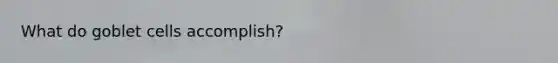 What do goblet cells accomplish?