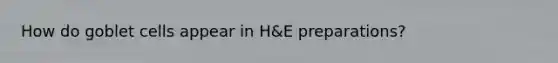 How do goblet cells appear in H&E preparations?