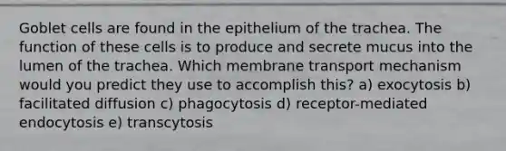 Goblet cells are found in the epithelium of the trachea. The function of these cells is to produce and secrete mucus into the lumen of the trachea. Which membrane transport mechanism would you predict they use to accomplish this? a) exocytosis b) facilitated diffusion c) phagocytosis d) receptor-mediated endocytosis e) transcytosis