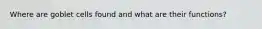 Where are goblet cells found and what are their functions?