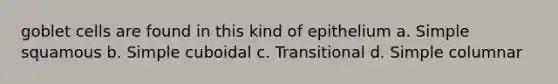 goblet cells are found in this kind of epithelium a. Simple squamous b. Simple cuboidal c. Transitional d. Simple columnar