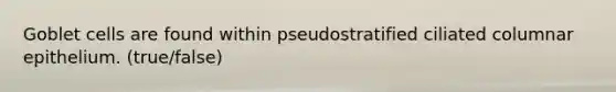 Goblet cells are found within pseudostratified ciliated columnar epithelium. (true/false)